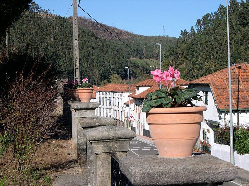 Jardinería Cantabria 6