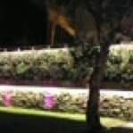 Iluminación Led para su jardín