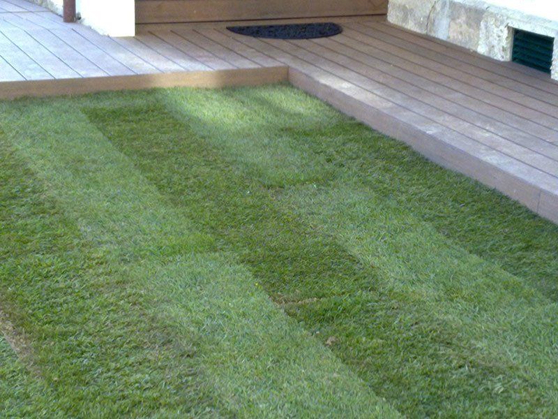 Jardinería Cantabria 19