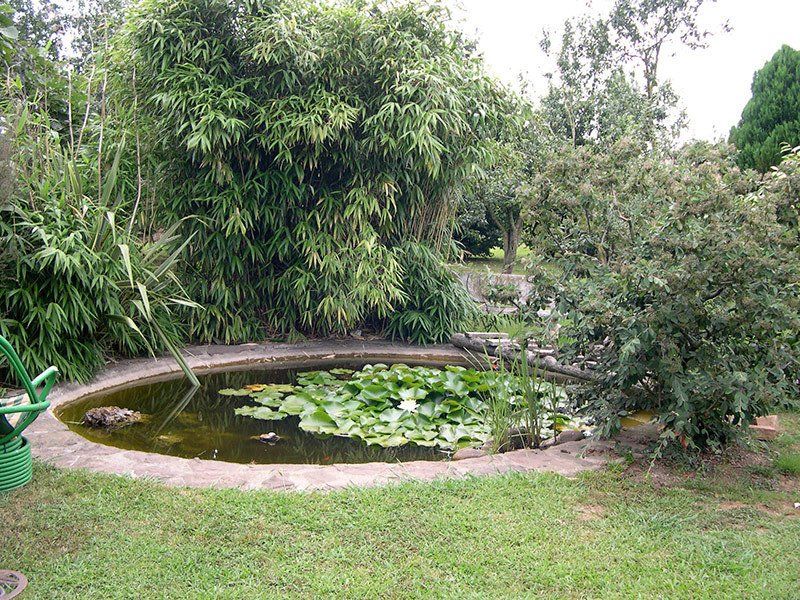 Jardinería Cantabria 15