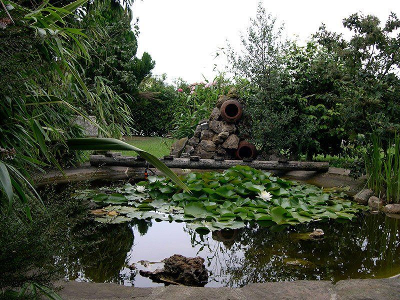 Jardinería Cantabria 12