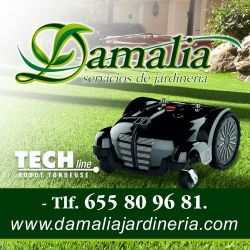 DAMALIA iman1 250x250