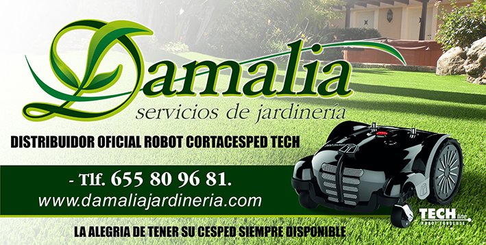 DAMALIA LONA web. RETOCADOpsd.jpg