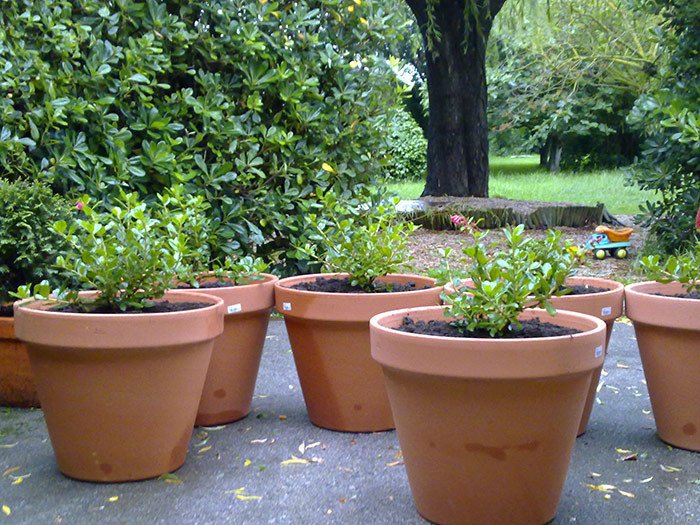 Empresa de jardinería en Cantabria