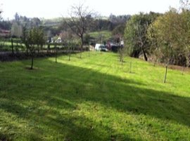 Mantenimiento de jardines en Cantabria